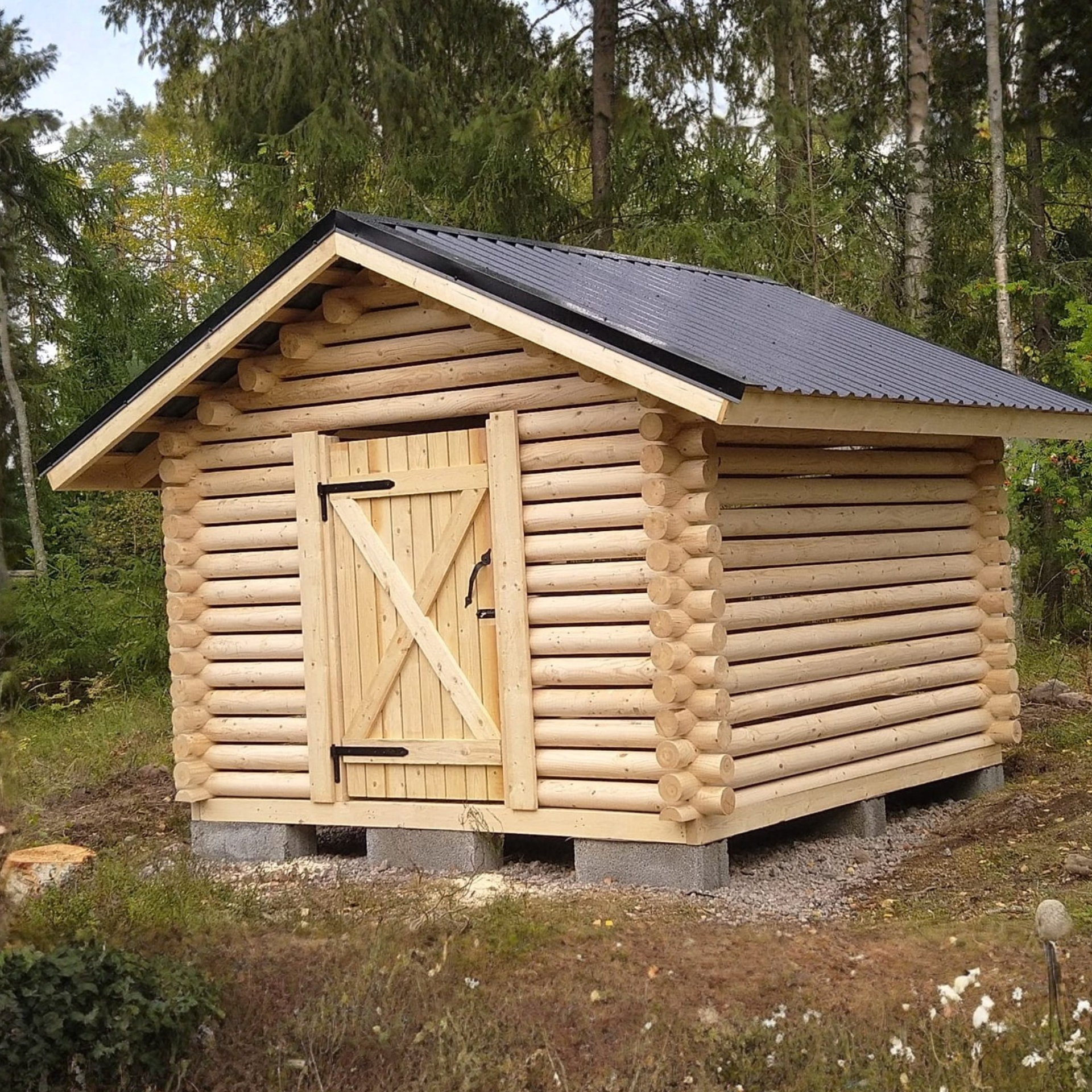 Pyöröhirsirunko (monta kokoa)