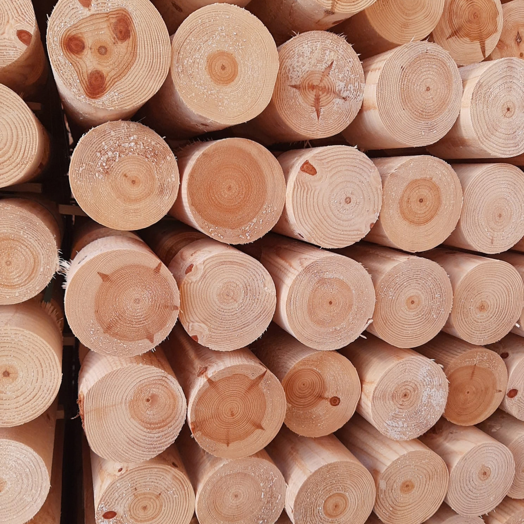 Pyörökeppi / Pyöröhirsi (montaa kokoa)