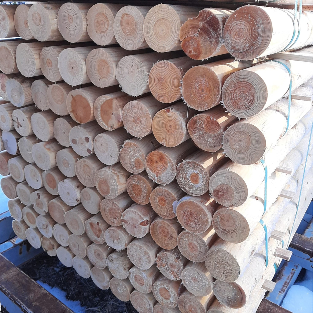 Pyörökeppi / Pyöröhirsi (montaa kokoa)