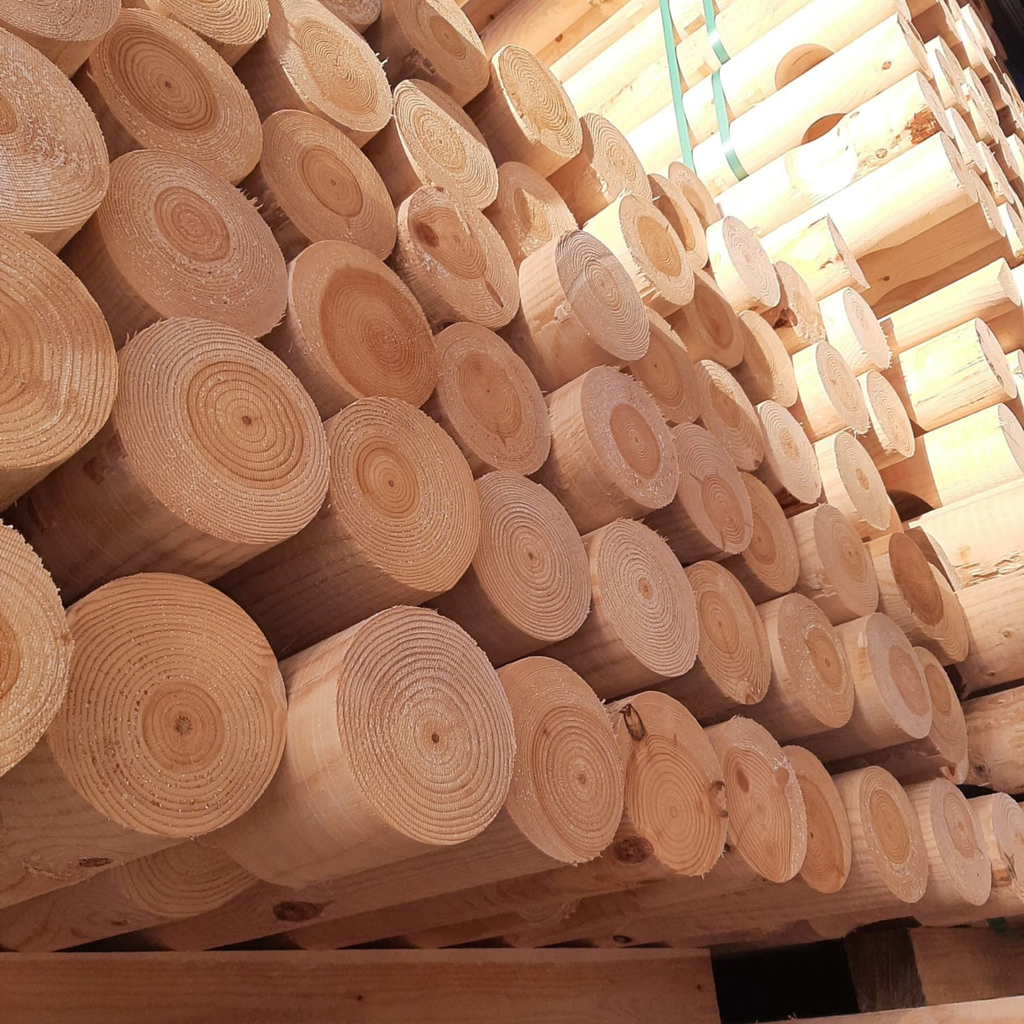 Pyörökeppi / Pyöröhirsi (montaa kokoa)