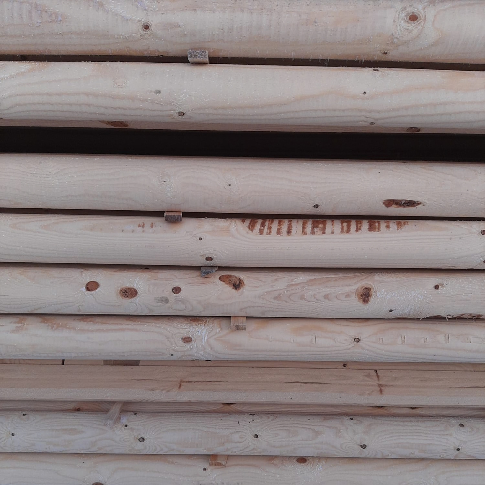 Pyörökeppi / Pyöröhirsi (montaa kokoa)